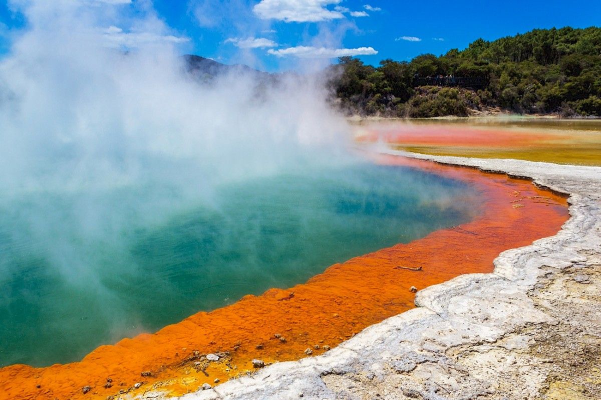 yachting holiday in New Zealand