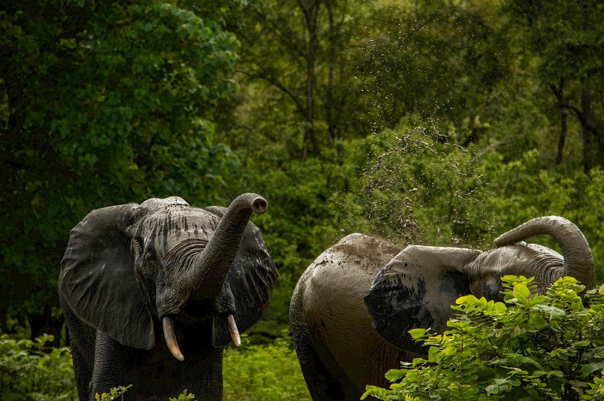 discover Africa by a yacht