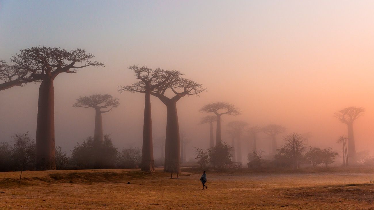 madagascar yacht charter