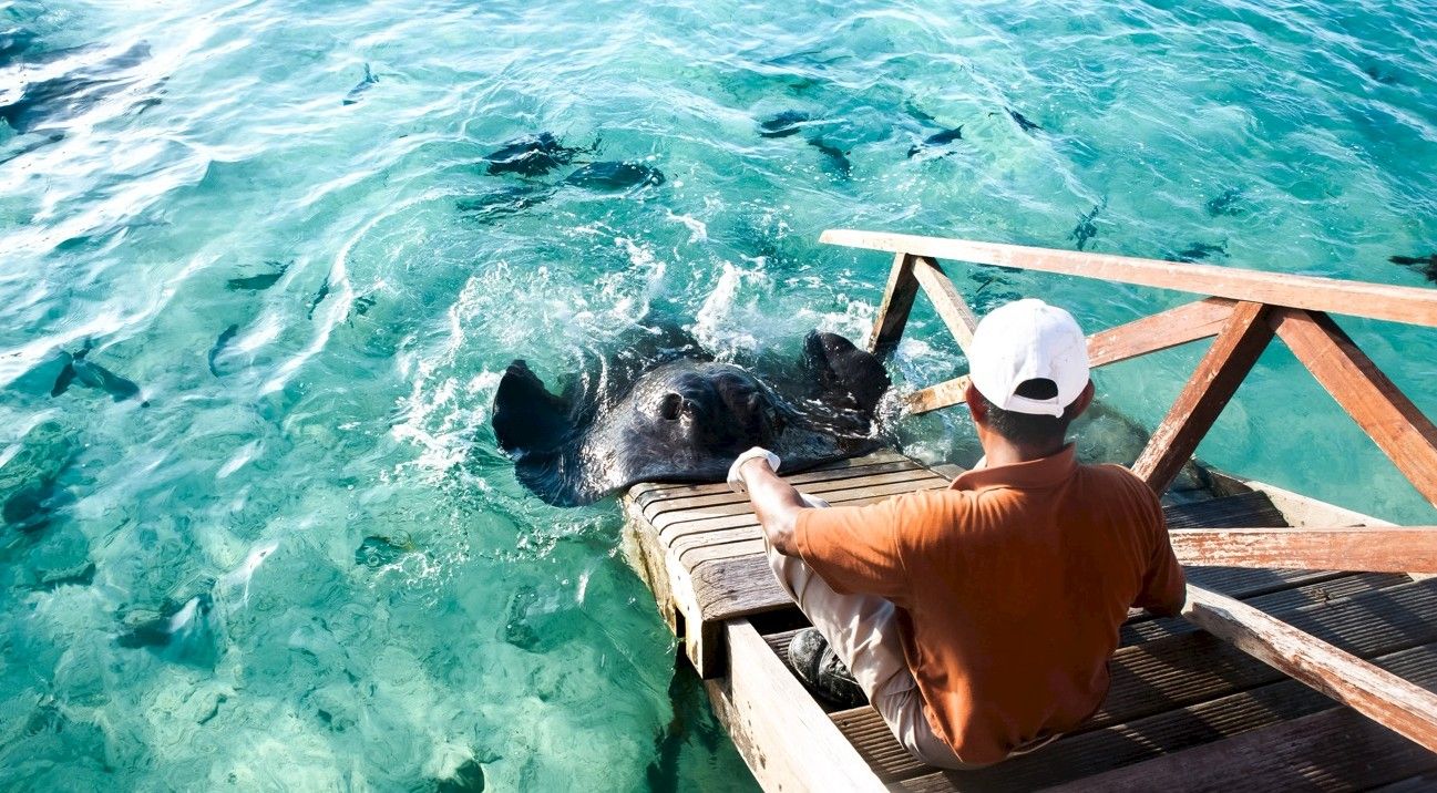 yacht charter Seychelles