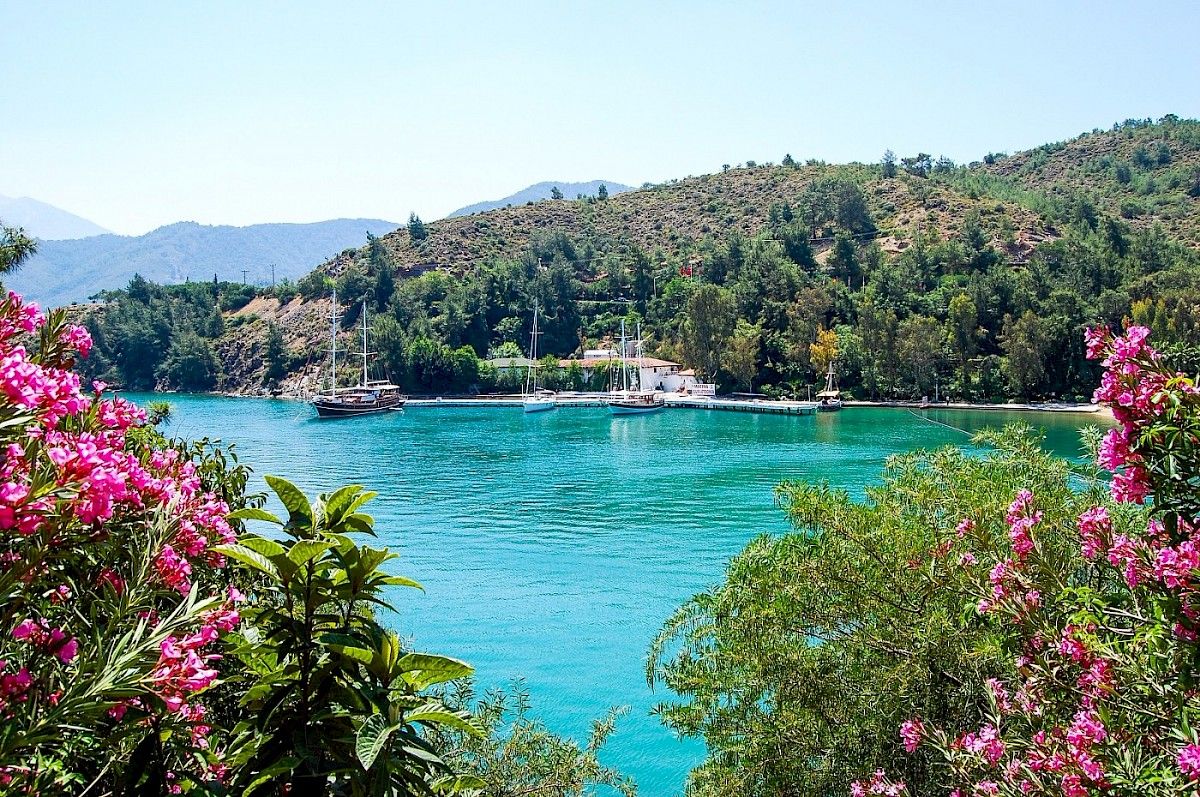 contact-yachts-210310-023257-001