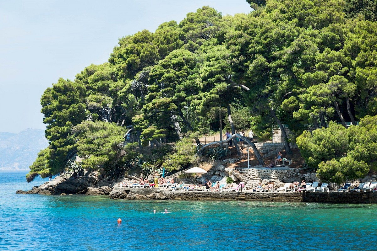 contact-yachts-210310-023316-001