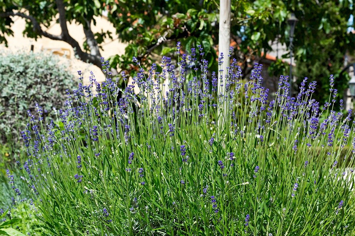 contact-yachts-210310-023386-001