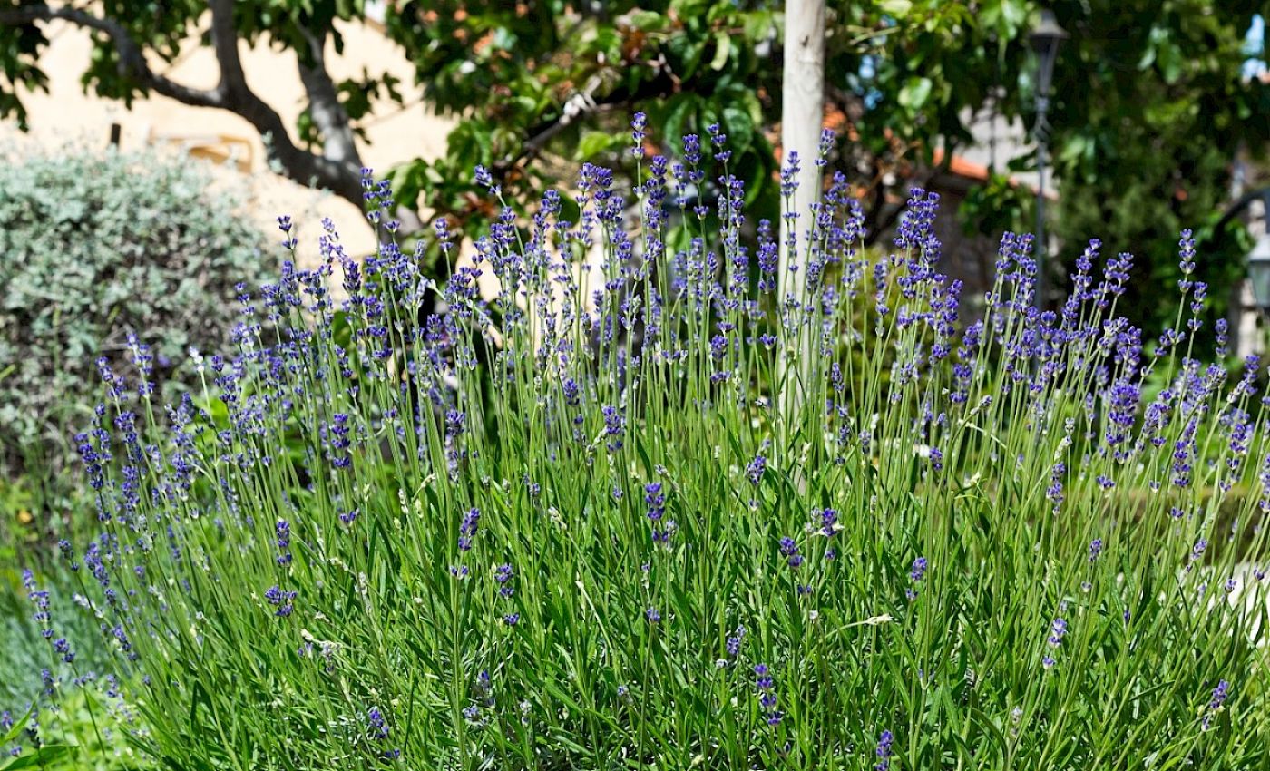 contact-yachts-210310-023386-001