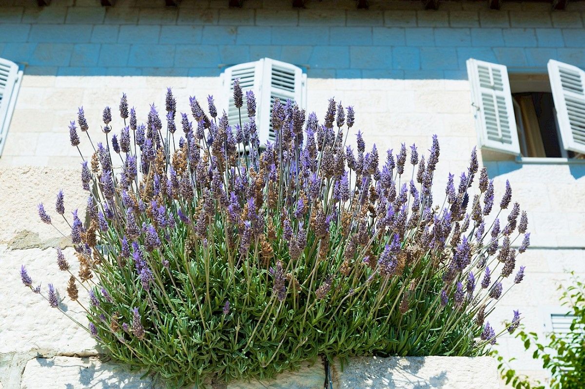 contact-yachts-210310-023390-001