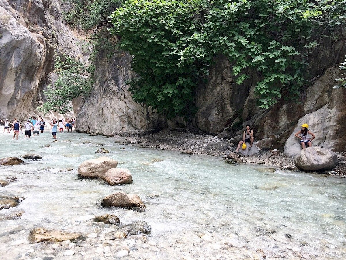 contact-yachts-210310-023456-001