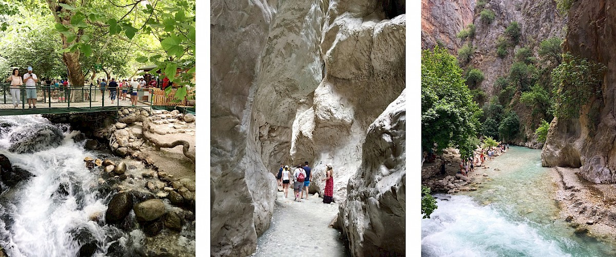 contact-yachts-210310-023457-001