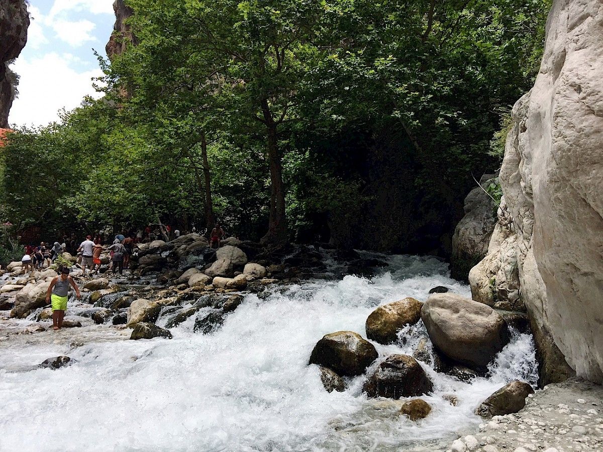 contact-yachts-210310-023458-001