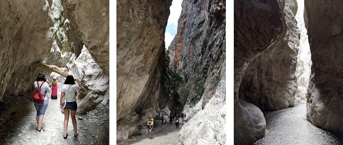 contact-yachts-210310-023460-001