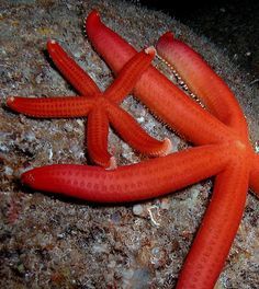 contact-yachts-210310-023489-001