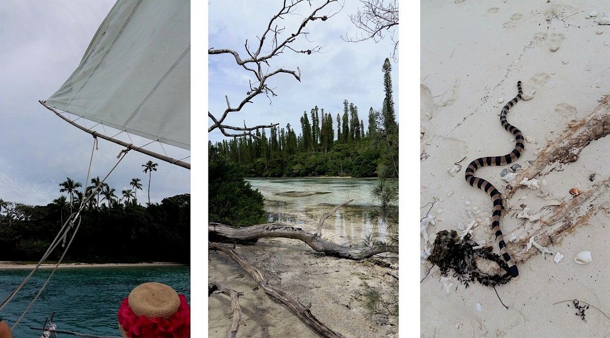 contact-yachts-210310-023644-001