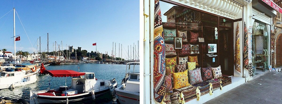 contact-yachts-210310-023820-001