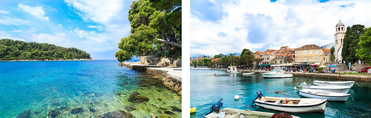 contact-yachts-210310-023834-001