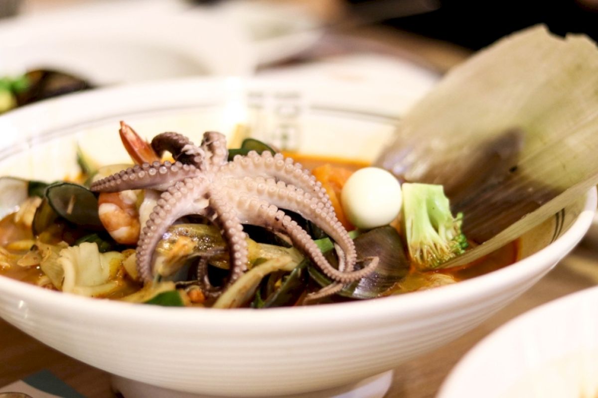 contact-yachts-220310-114309_0001