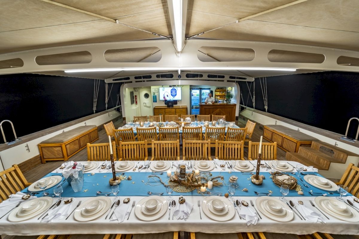 contact-yachts-221005-101509_0003