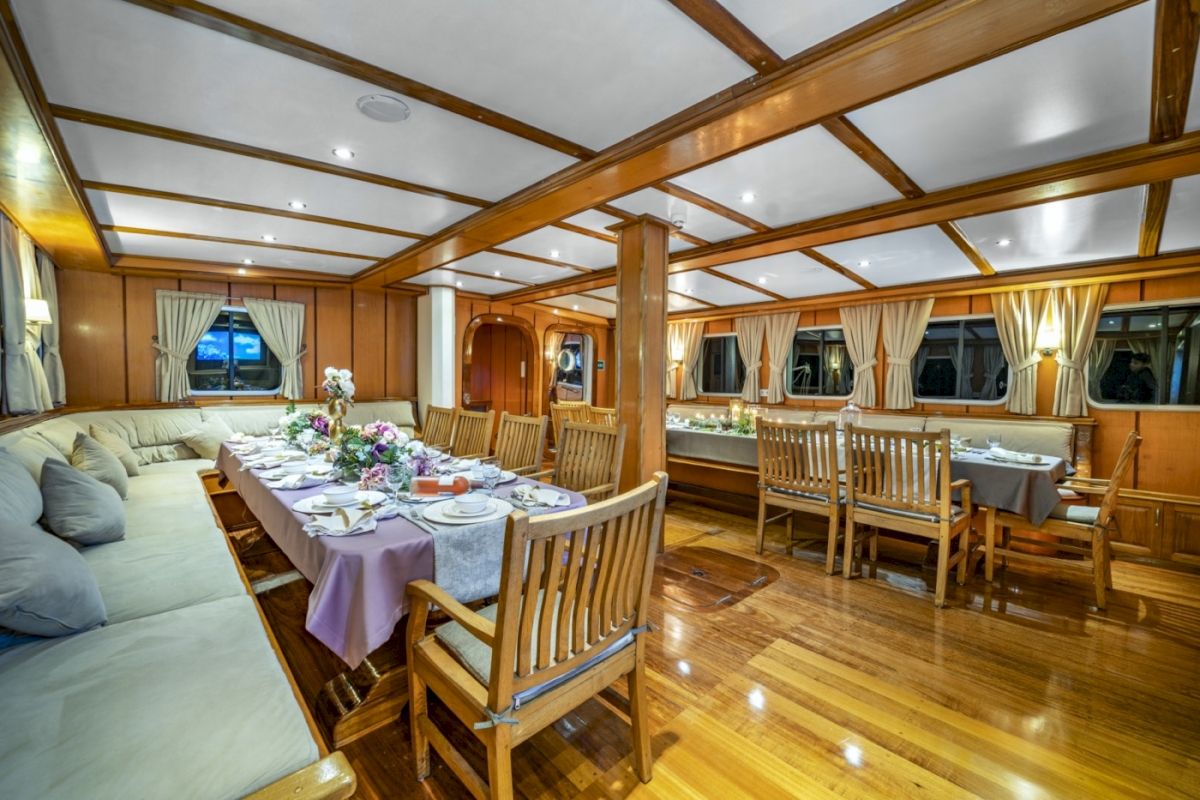 contact-yachts-221005-101952_0005