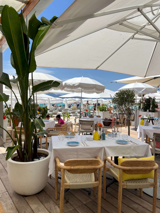 contact-yachts-260128-023712_0003