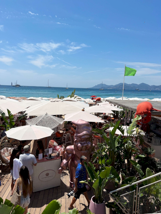 contact-yachts-260128-023712_0006