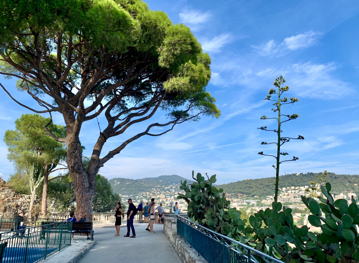 contact-yachts-260128-030737_0004