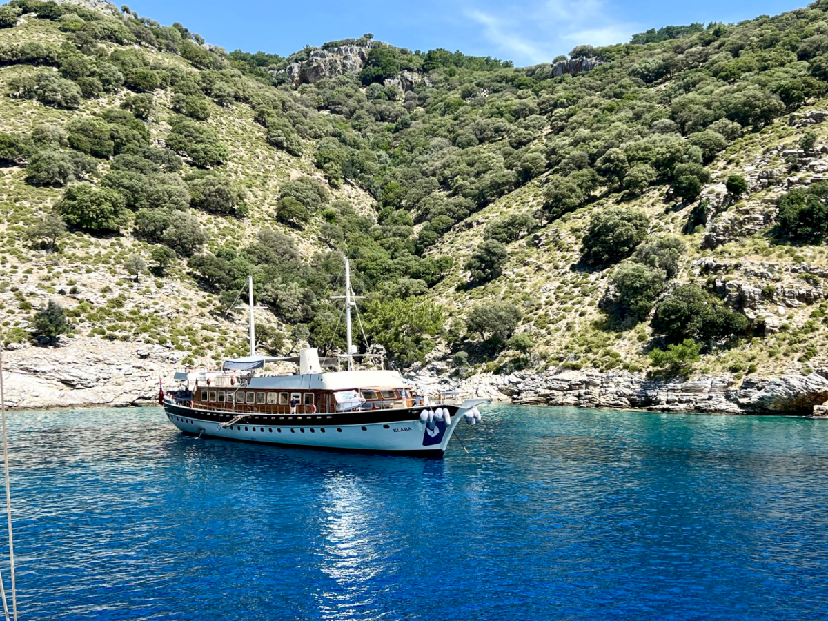 contact-yachts-260806-102228-2026-08-06-10-22-46