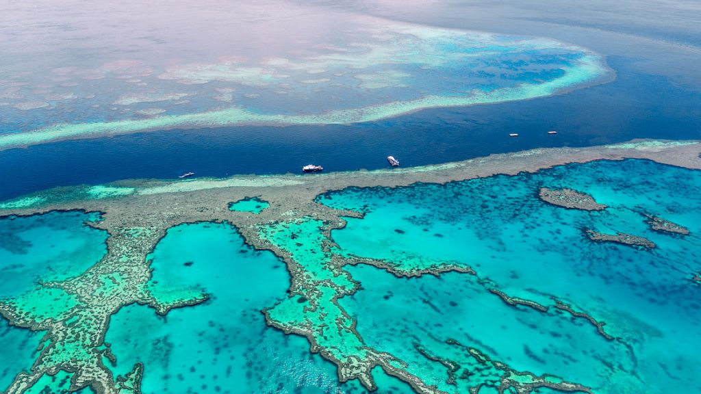 Book a yacht charter in Australia with Contact Yachts