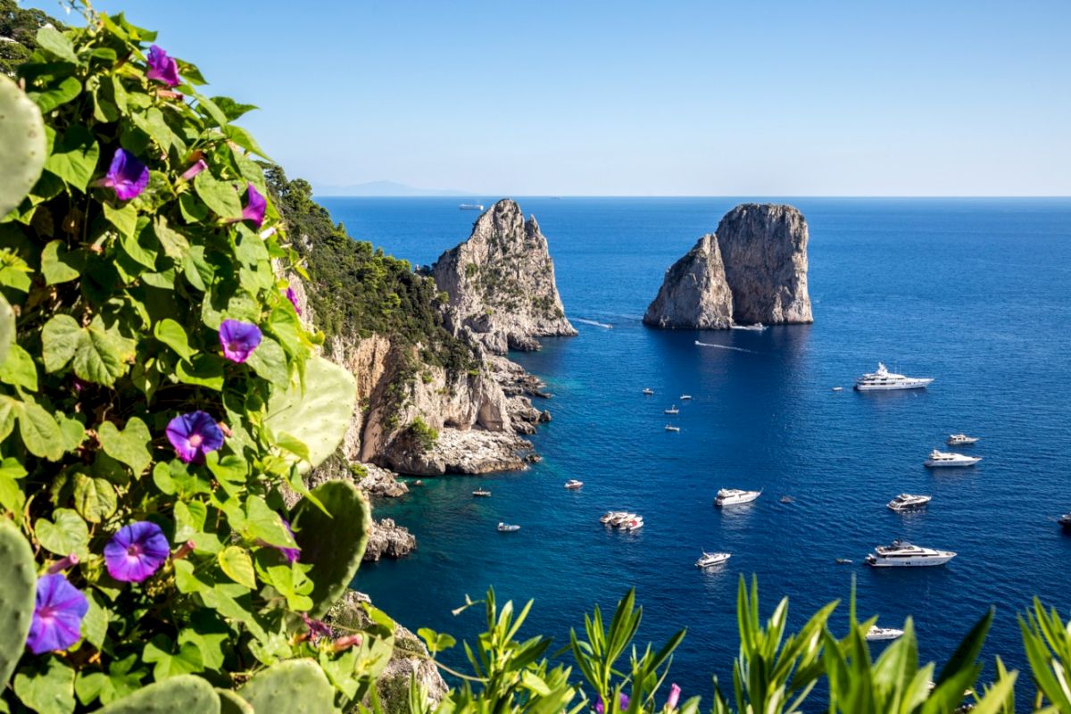 contact-yachts-capri_0001