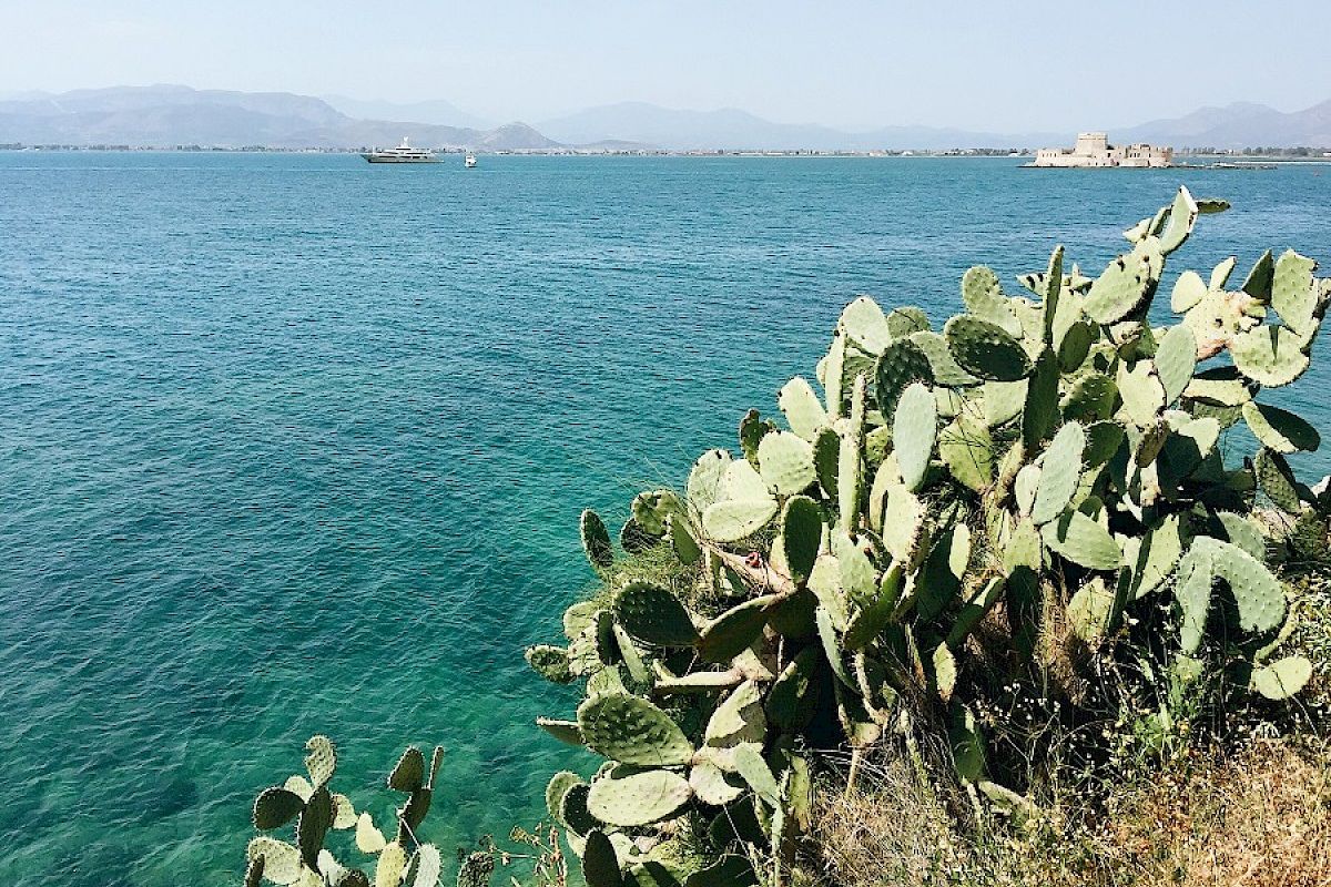 Contact Yachts visiting beautiful Greek town Nafplio during Mediterranean Yachts Show in 2017_12