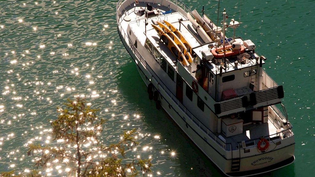 contact-yachts-snow-goose-005