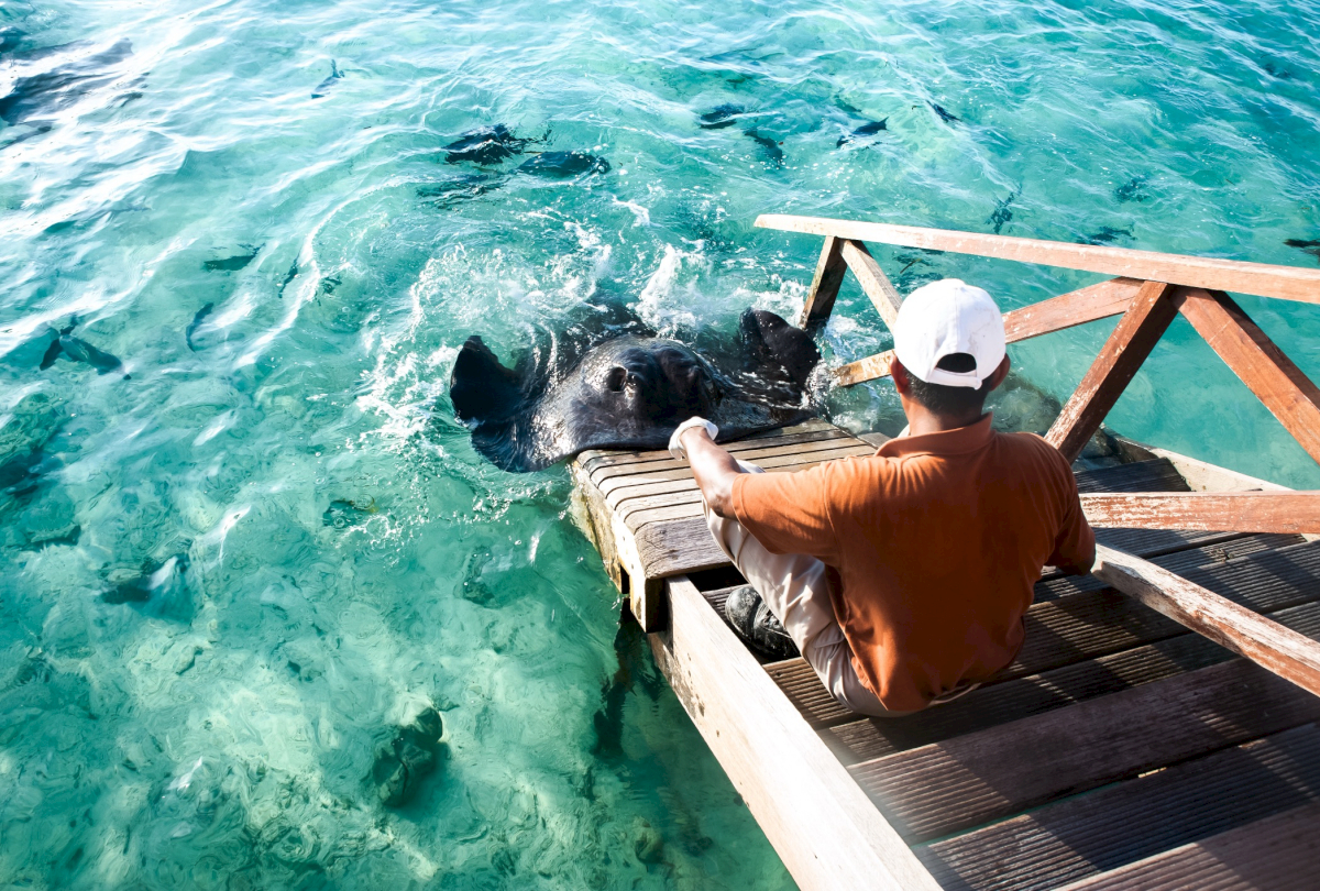 maldives_yacht_charter