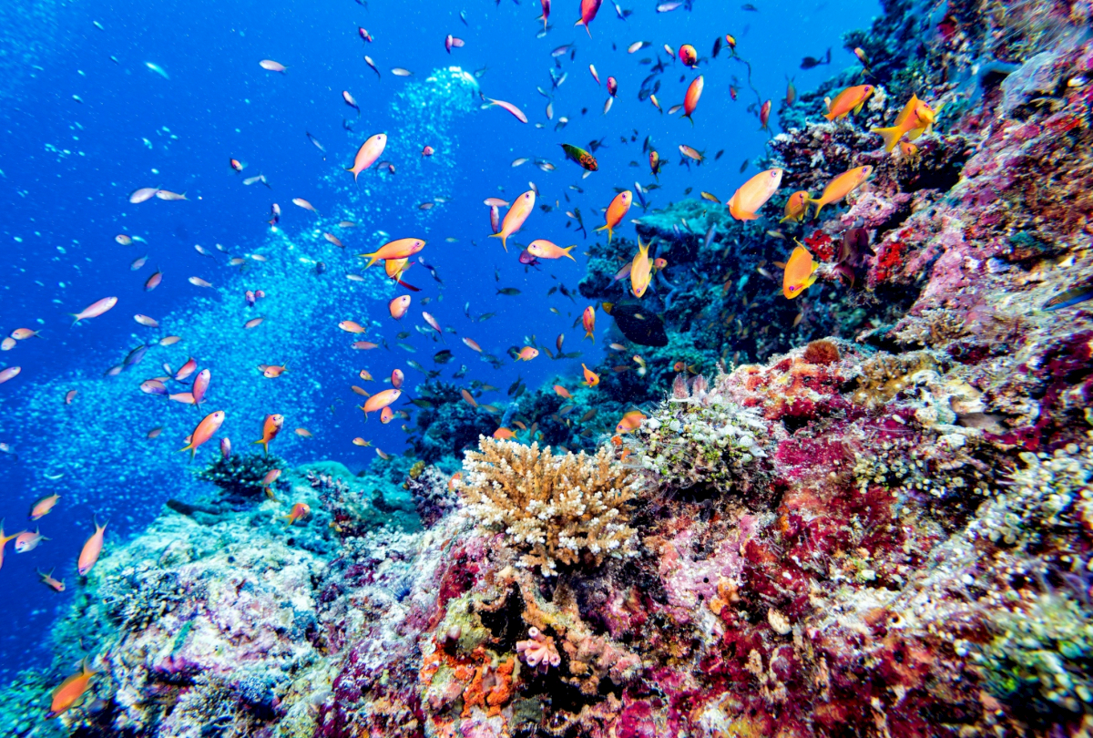 maldives_yacht_charter_itinerary