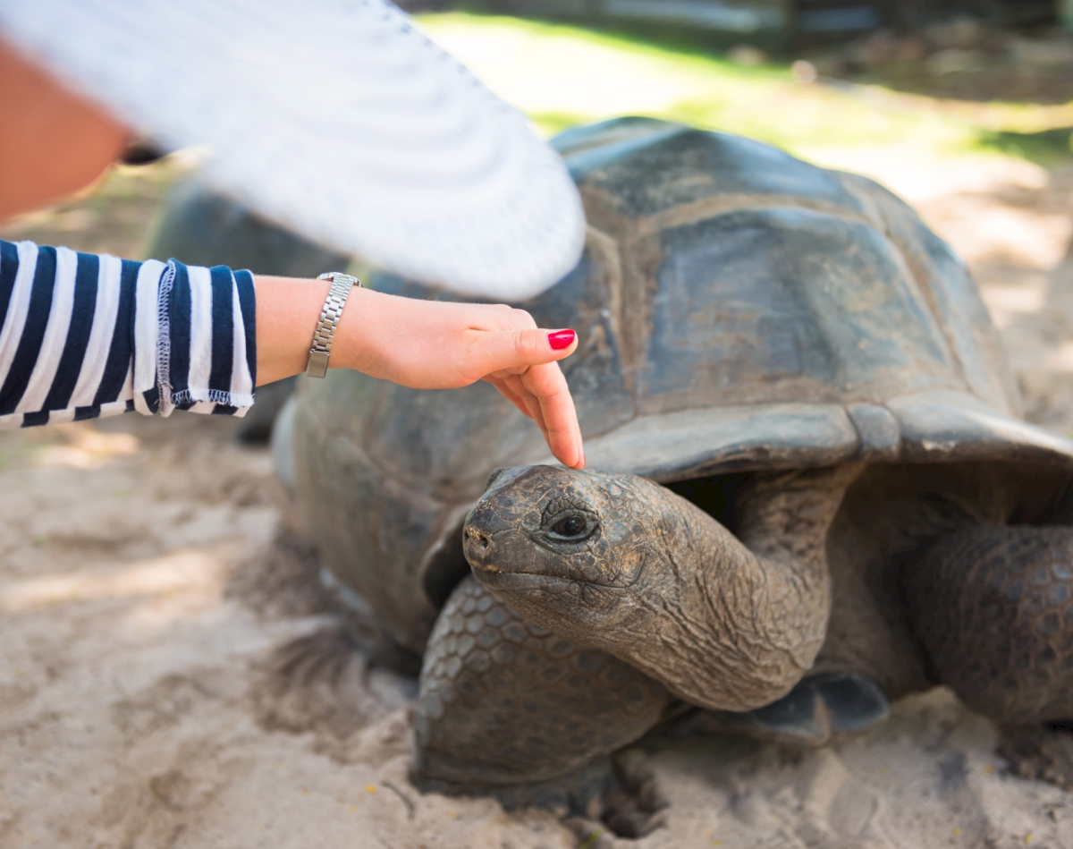 seychelles_crewed_yacht_charter