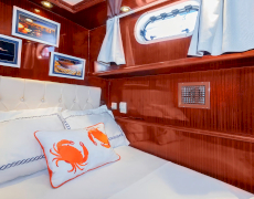 contact-yachts-perla-del-mar-1-2026-08-04-13-24-40