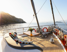 contact-yachts-perdue_0028