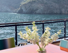 contact-yachts-clear-eyes_0019