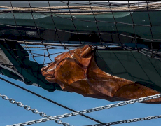 contact-yachts-arktos_0002