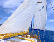 contact-yachts-fortuna-1_0011