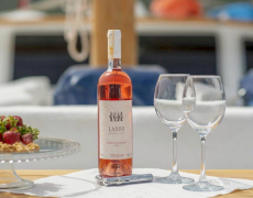 contact-yachts-la-reine_0001