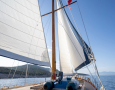 contact-yachts-dionysos_0001