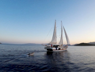 contact-yachts-cemre-jr_0002