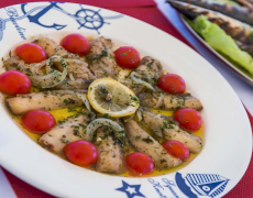 contact-yachts-sirena_0006