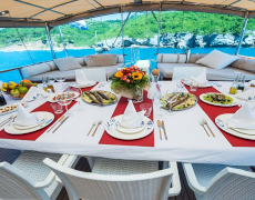 contact-yachts-sirena_0034