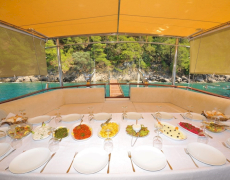 contact-yachts-ece-arina_0023