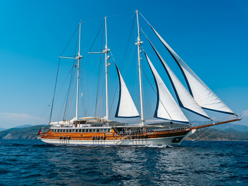 contact-yachts-grand-admiral-2026-09-11-16-09-05