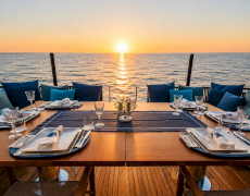 contact-yachts-wedge-2026-08-21-17-22-31