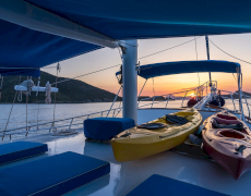 contact-yachts-elena-2026-09-11-15-03-34