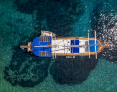 contact-yachts-elena-2026-09-11-15-04-14
