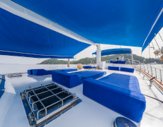 contact-yachts-elena-2026-09-11-15-09-18_2