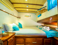 contact-yachts-elena-2026-09-11-15-09-18_4