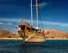 contact-yachts-sidatubua-2026-09-07-13-02-53_6