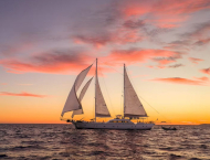 contact-yachts-alessandro-1_0005